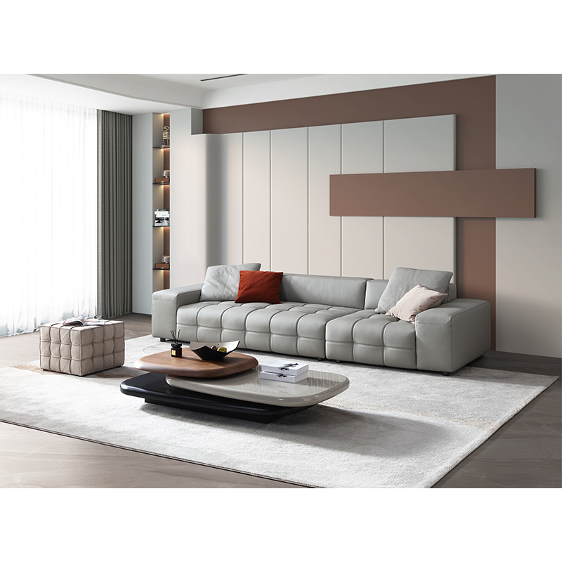 Modern Simple Stylish Leather Sofa