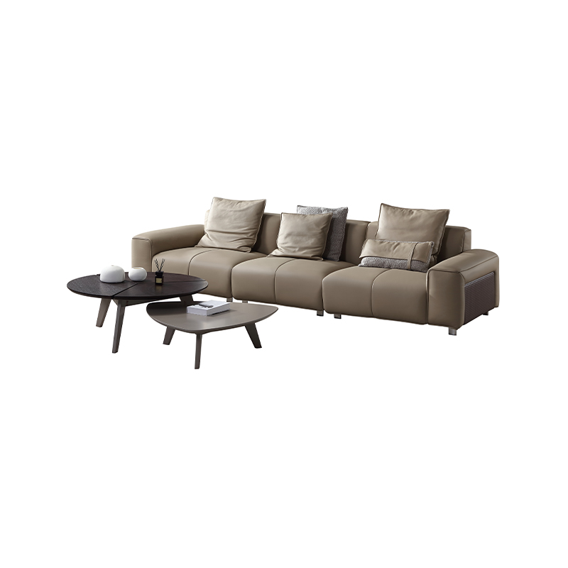 Modern Simple Lazy Stylish Leather Sofa
