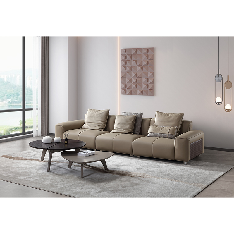 Modern Simple Lazy Stylish Leather Sofa