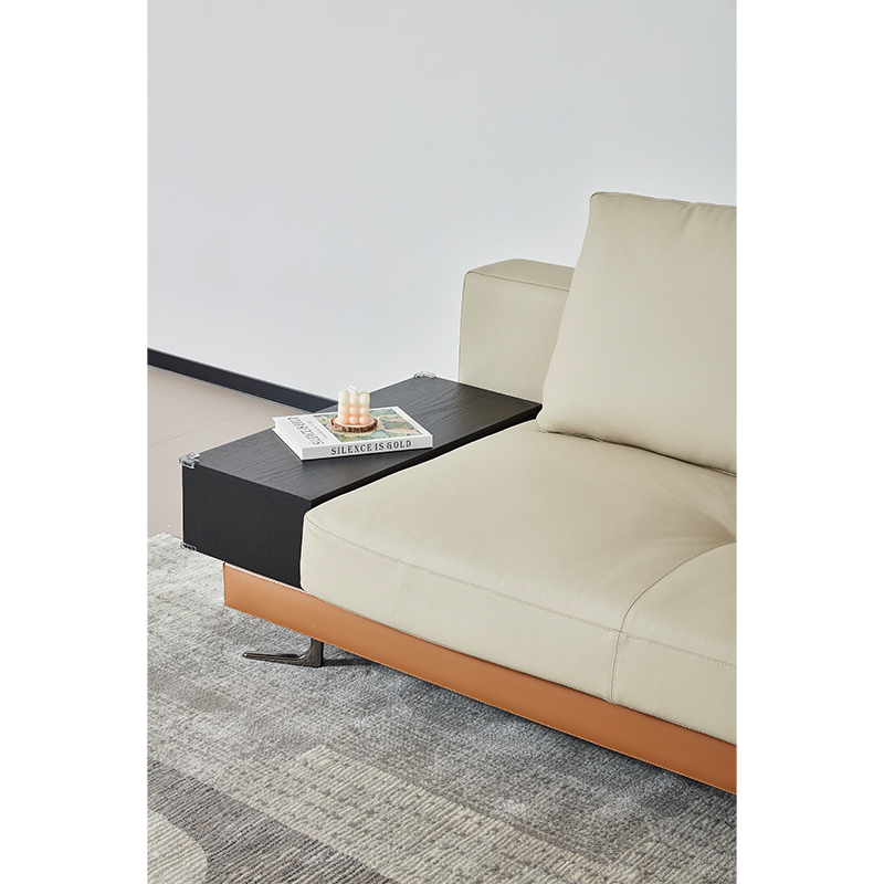 Modern Minimalist Stylish Retro Leather Sofa
