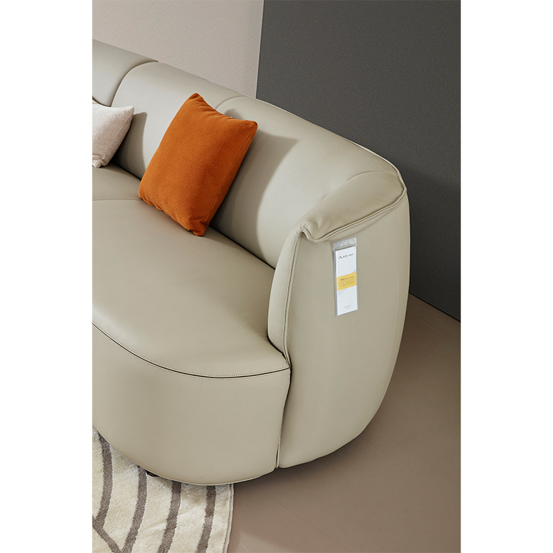 Modern Simple Stylish Curved Sofa